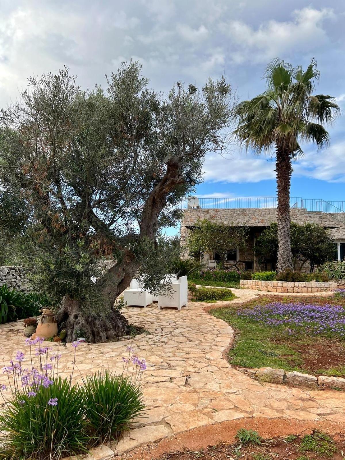 Villa Magico Salento 1/2/3 Torre Vado Exterior foto